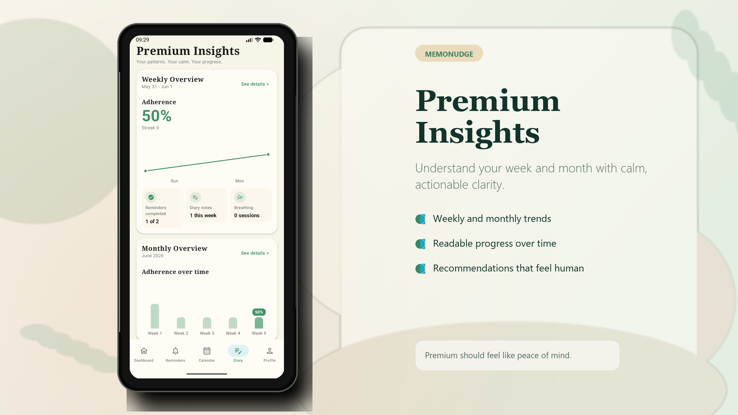 MemoNudge Premium Insights showcase